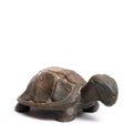 Soapstone Turtle, Probably Kenya