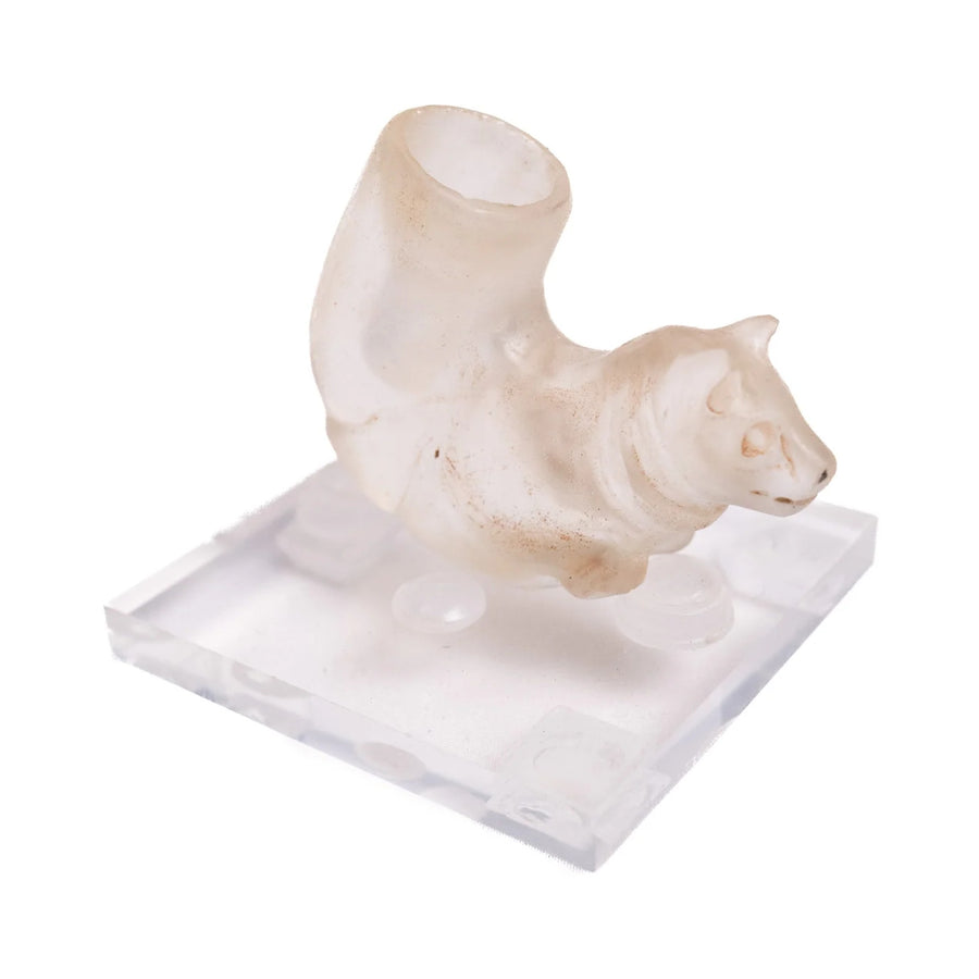 Feline-Head Glass Vessel Terminal, Sold to Us as Indo-Parthian